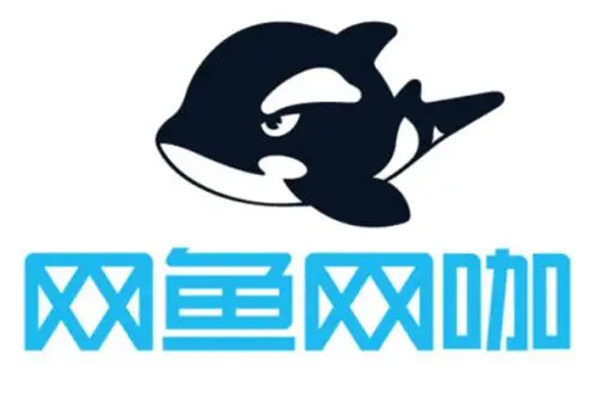 網魚網絡