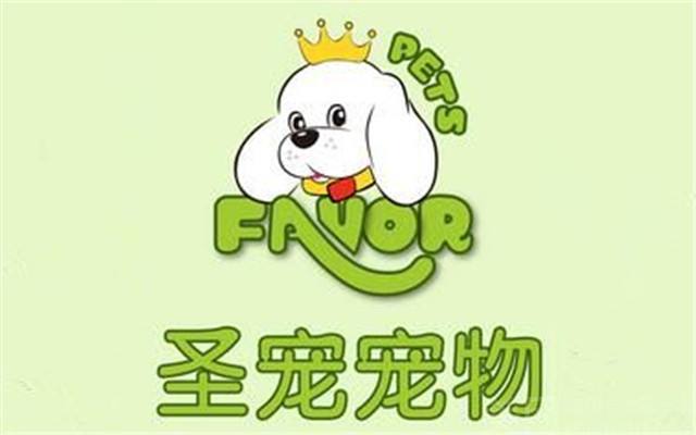 圣寵寵物