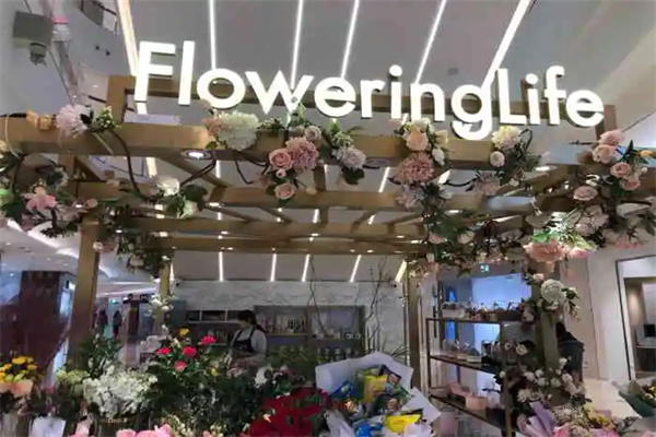 FLOWERING LIFE加盟