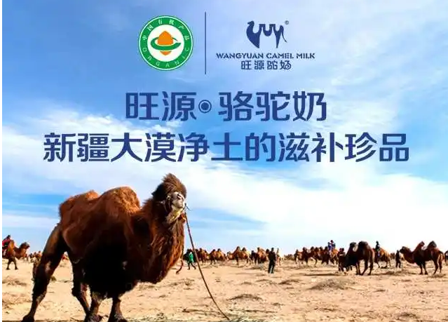 旺源駝奶加盟利潤怎么樣？