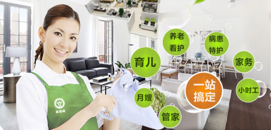 泰維峰家政加盟費用多少錢？