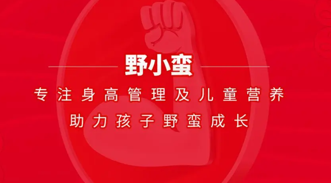 野小蠻加盟費(fèi)多少錢？