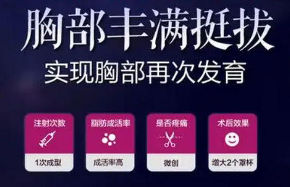 紫穎美胸加盟費多少錢？
